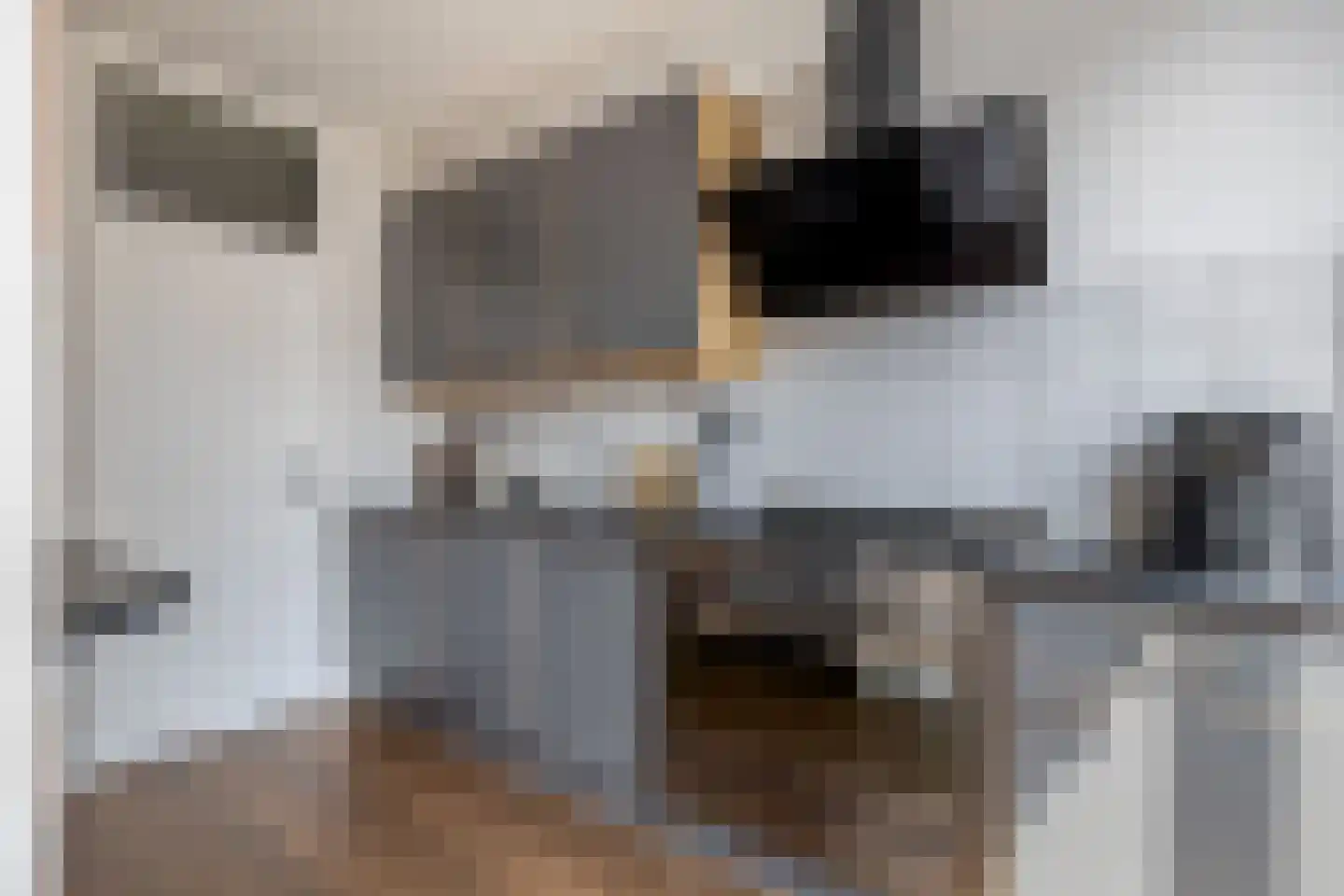 Middelzand 3145 Julianadorp thumbnail 11