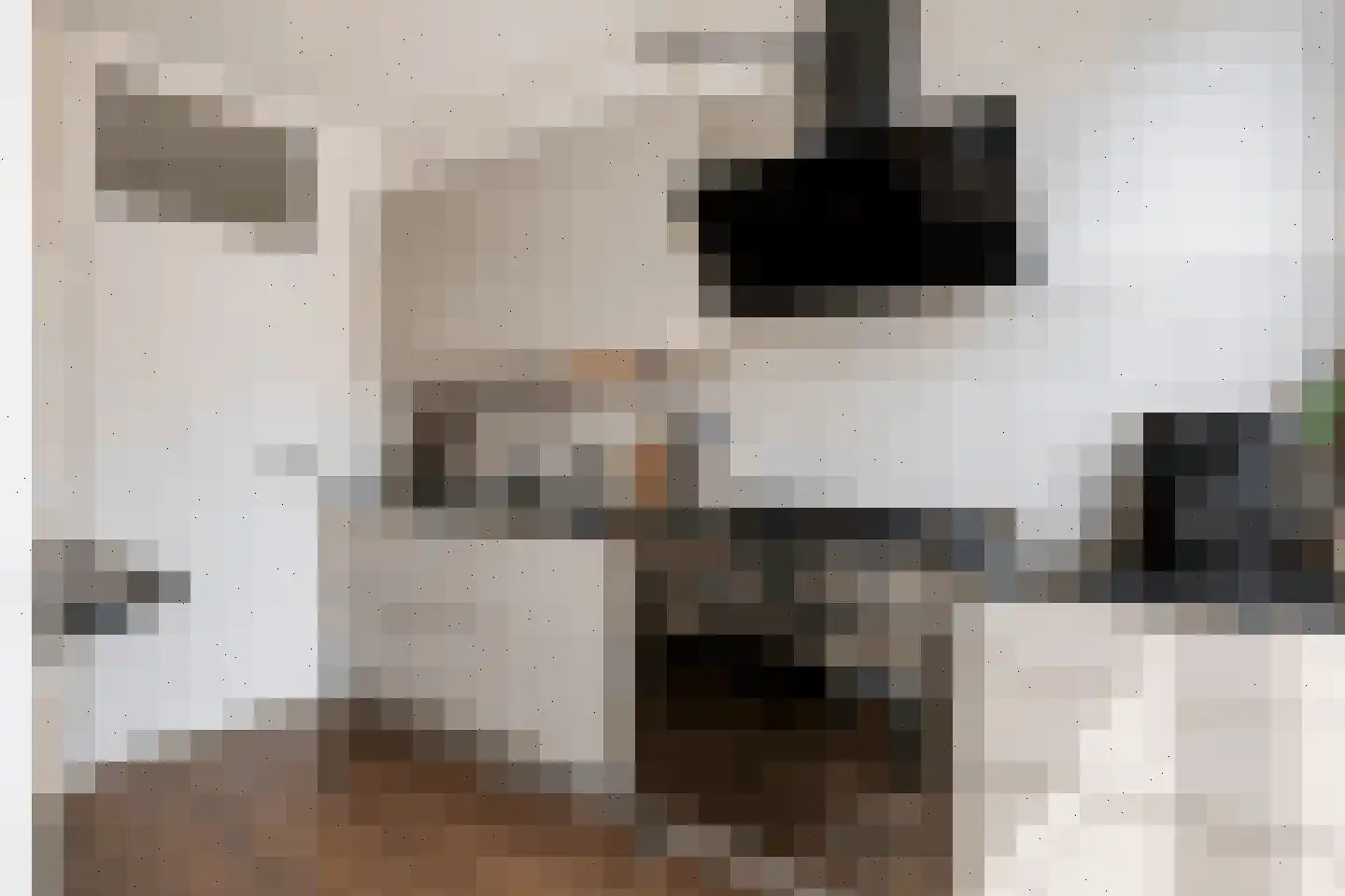 Middelzand 3145 Julianadorp thumbnail 12