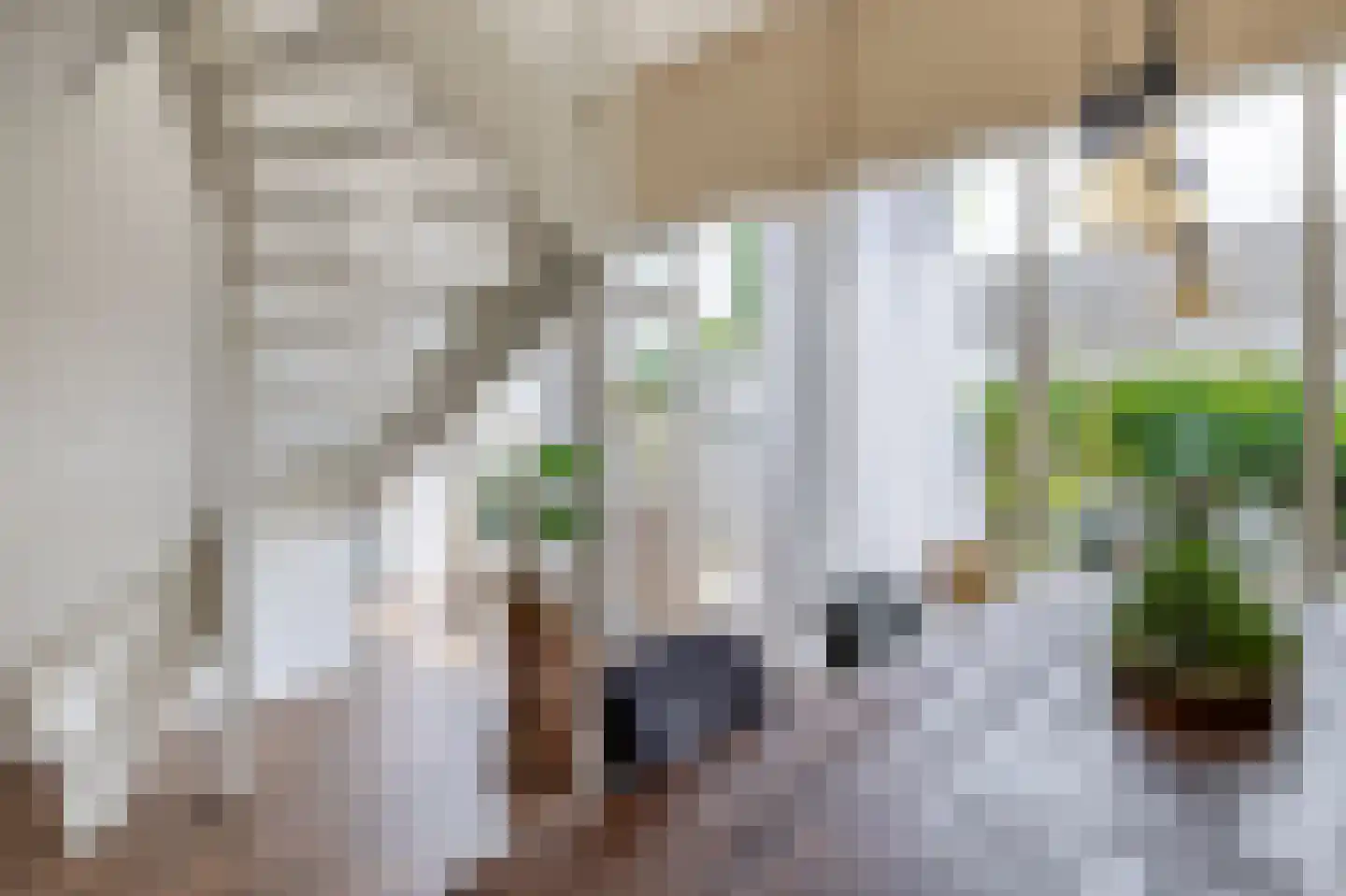 Middelzand 3145 Julianadorp thumbnail 8