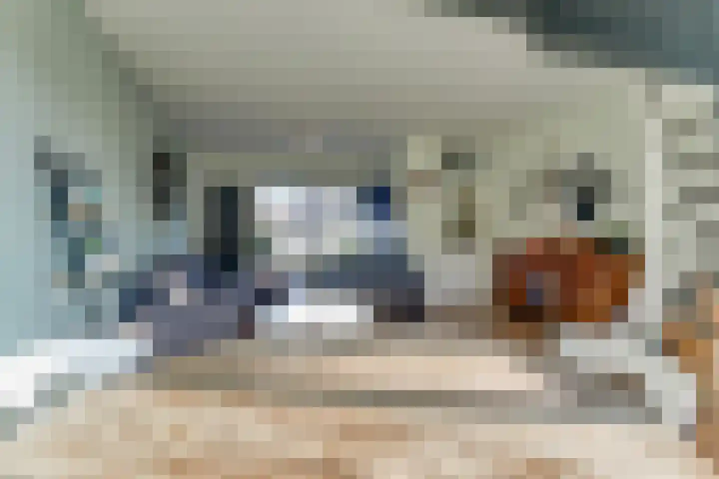 Middelzand 3151 Julianadorp thumbnail 16