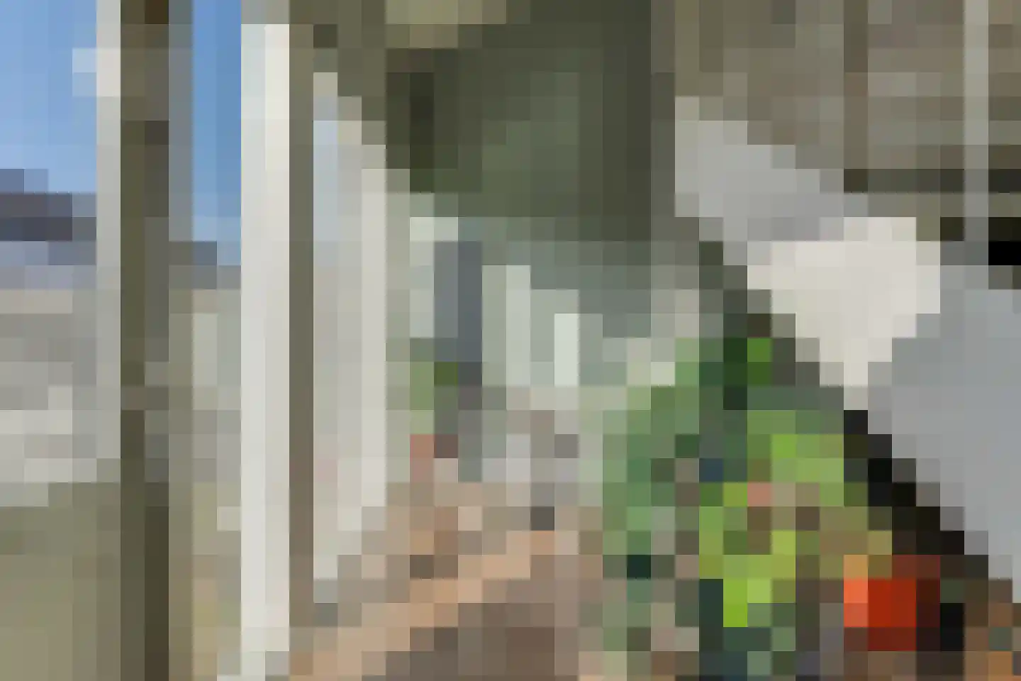 Middelzand 3151 Julianadorp thumbnail 23