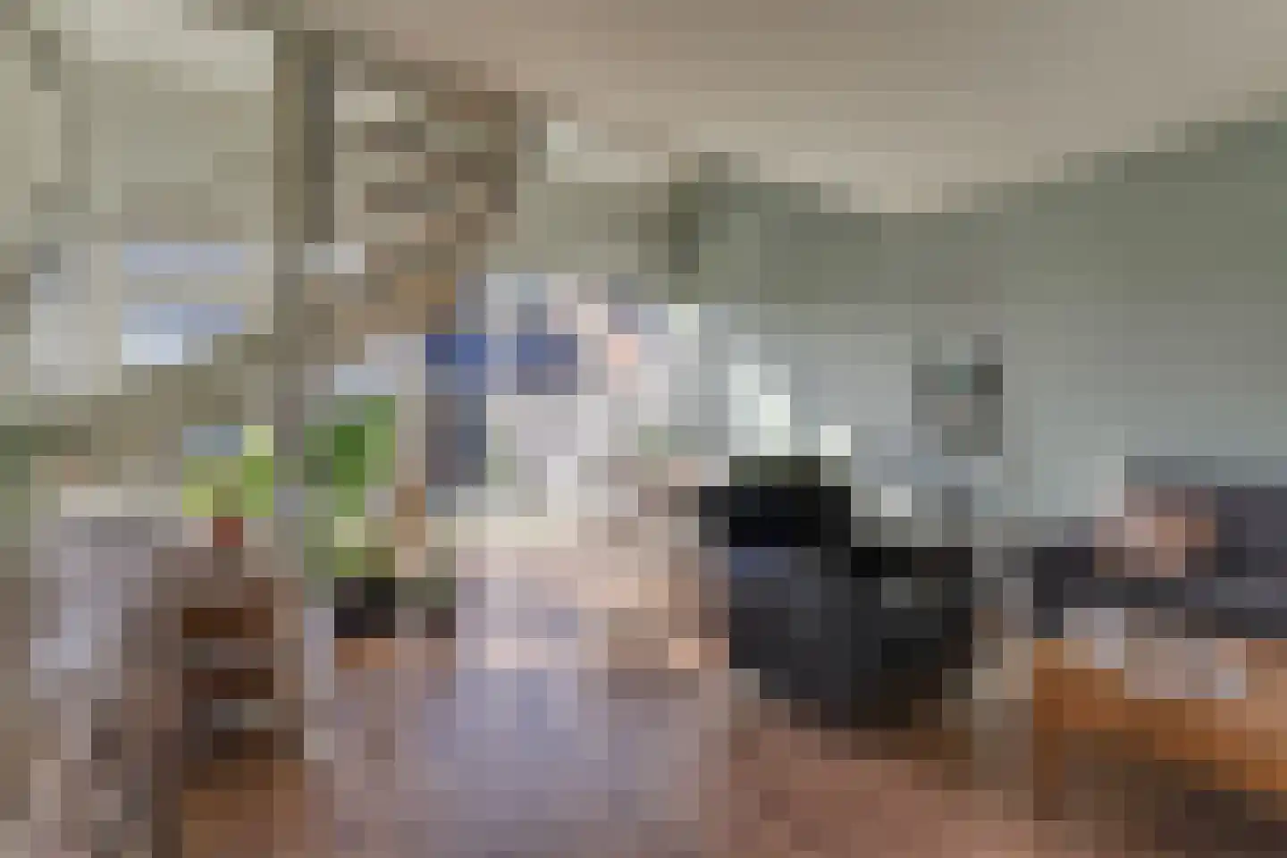 Middelzand 3151 Julianadorp thumbnail 8