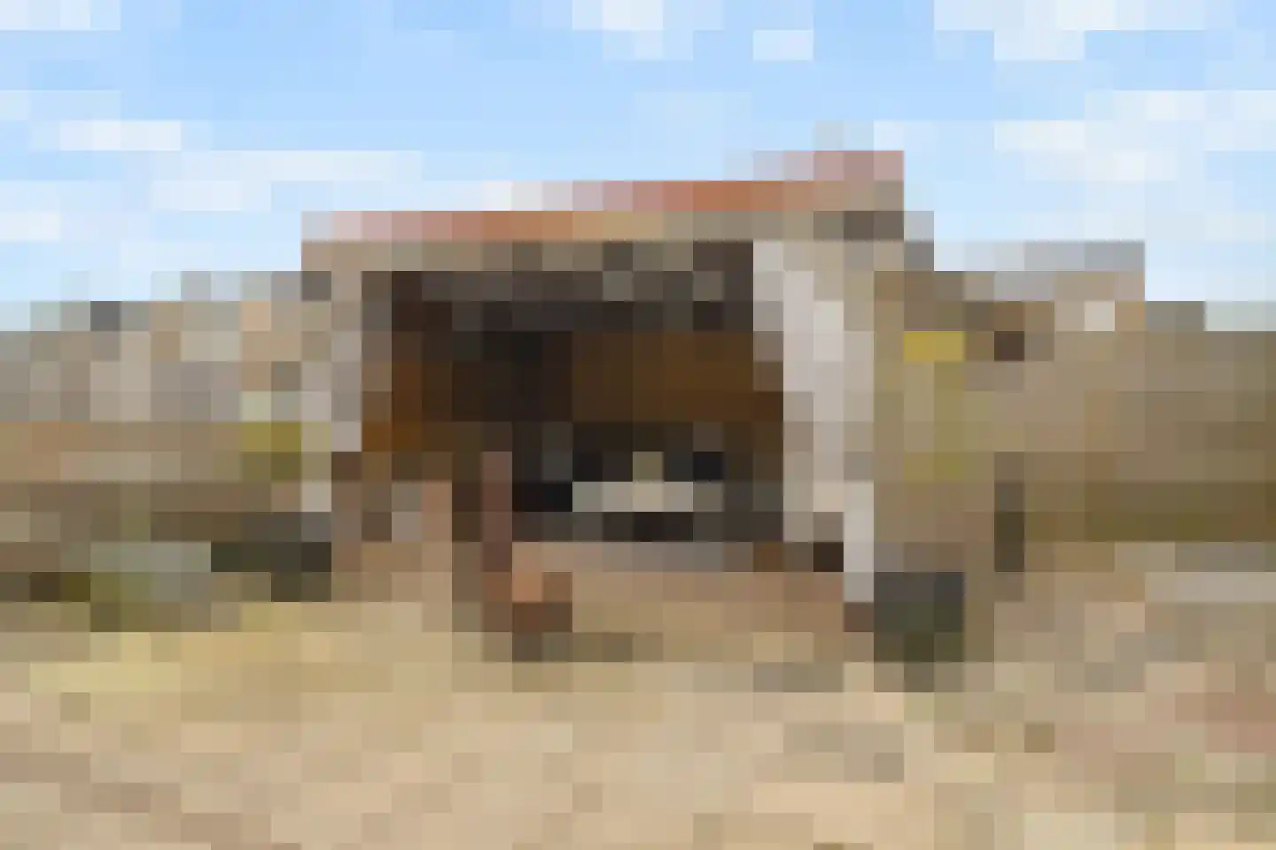 Middelzand 3239 Julianadorp thumbnail 5