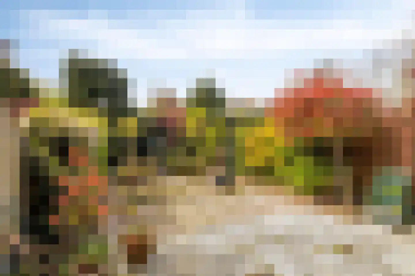 Middelzand 3253 Julianadorp thumbnail 4