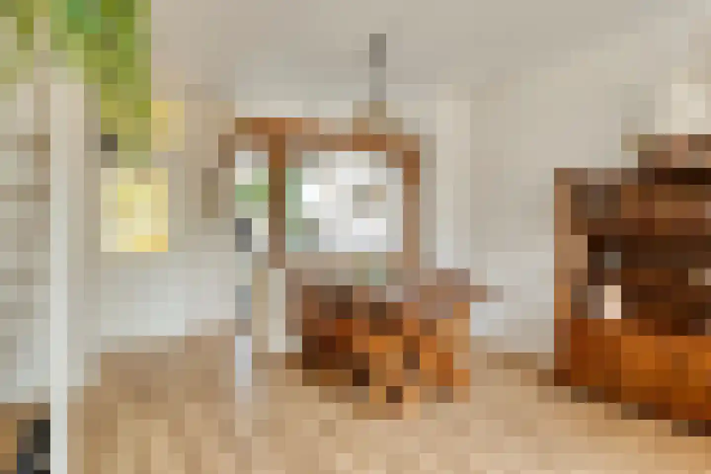 Middelzand 3253 Julianadorp thumbnail 7