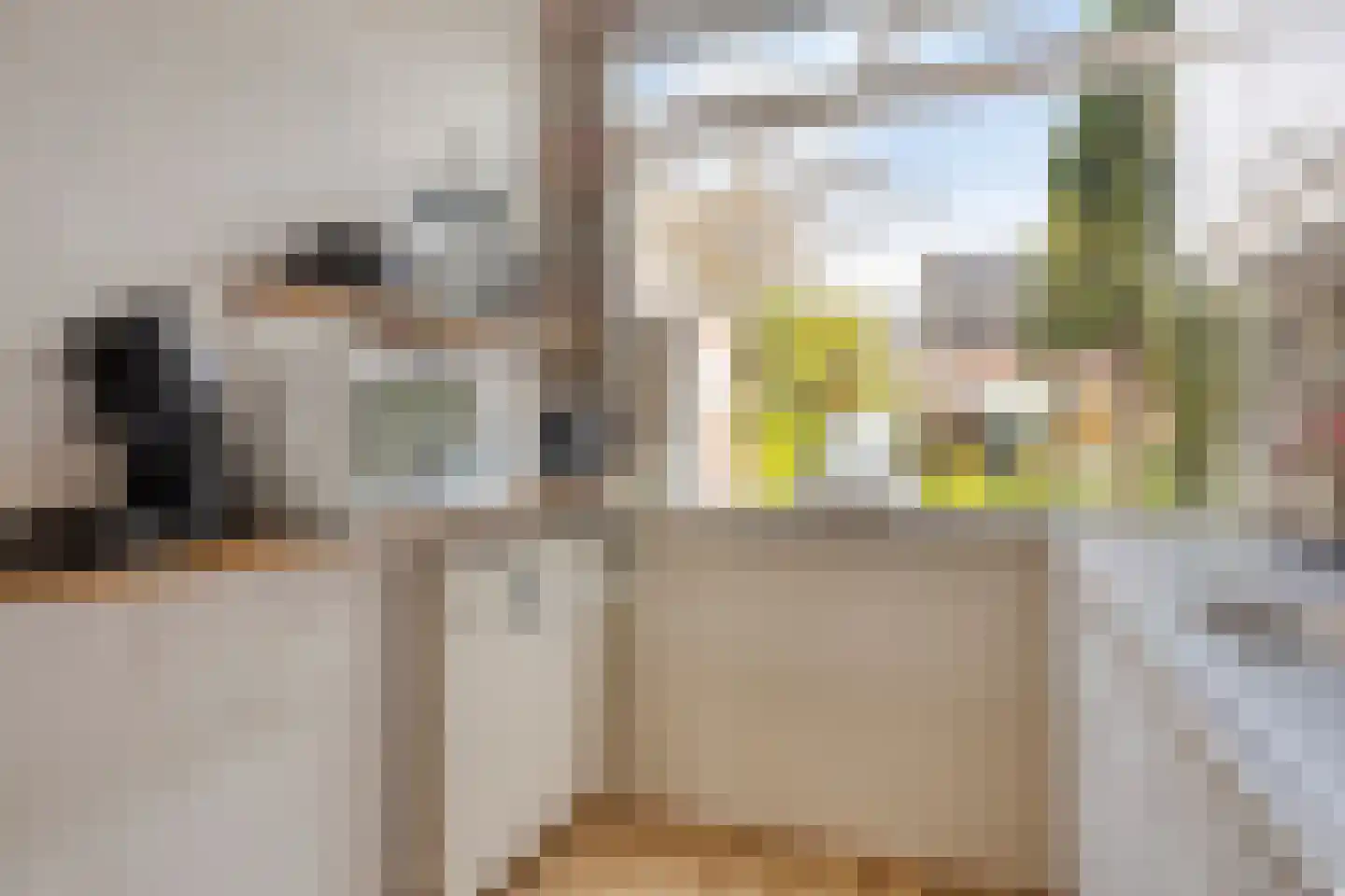 Middelzand 3253 Julianadorp thumbnail 9