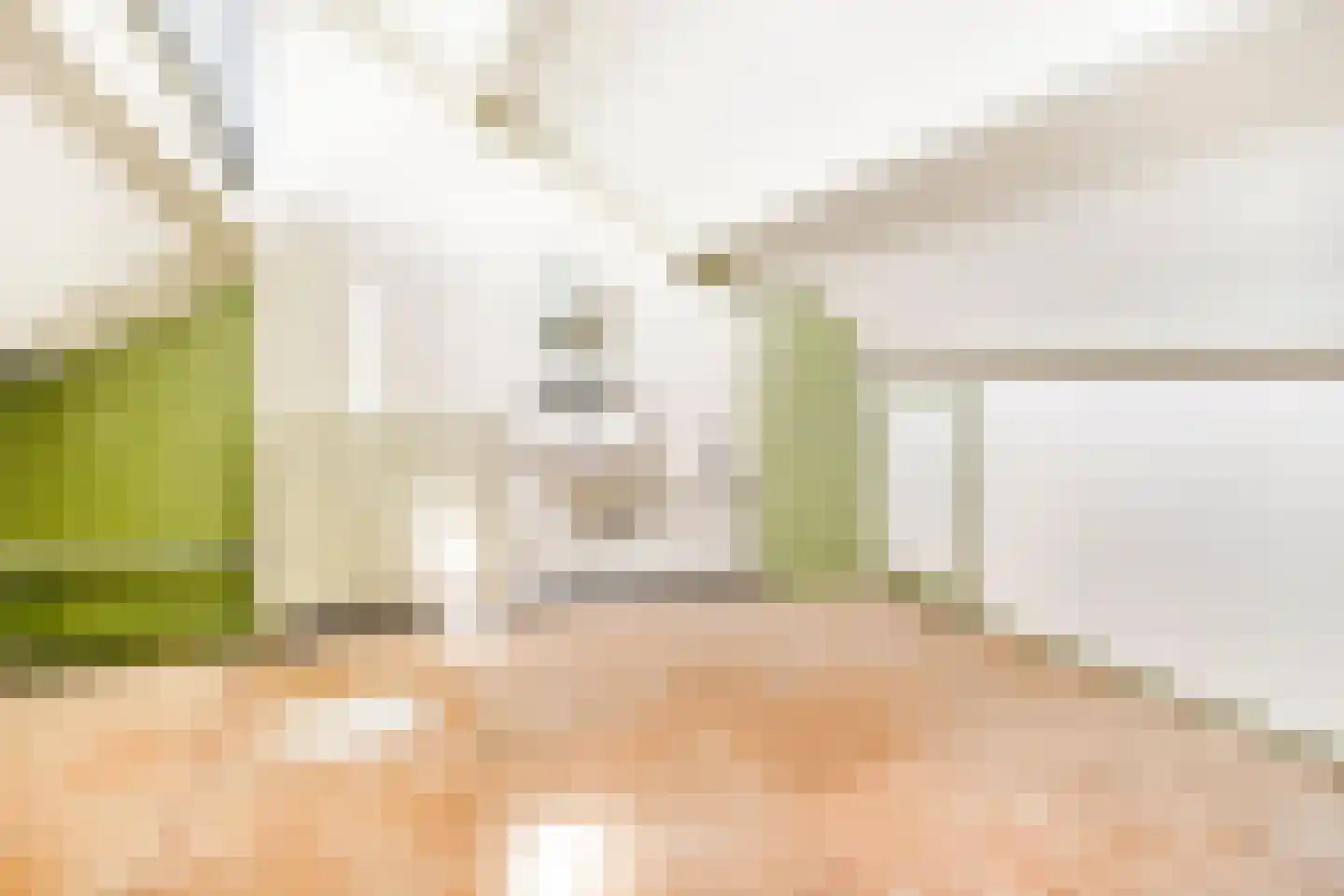Middelzand 3324 Julianadorp thumbnail 15