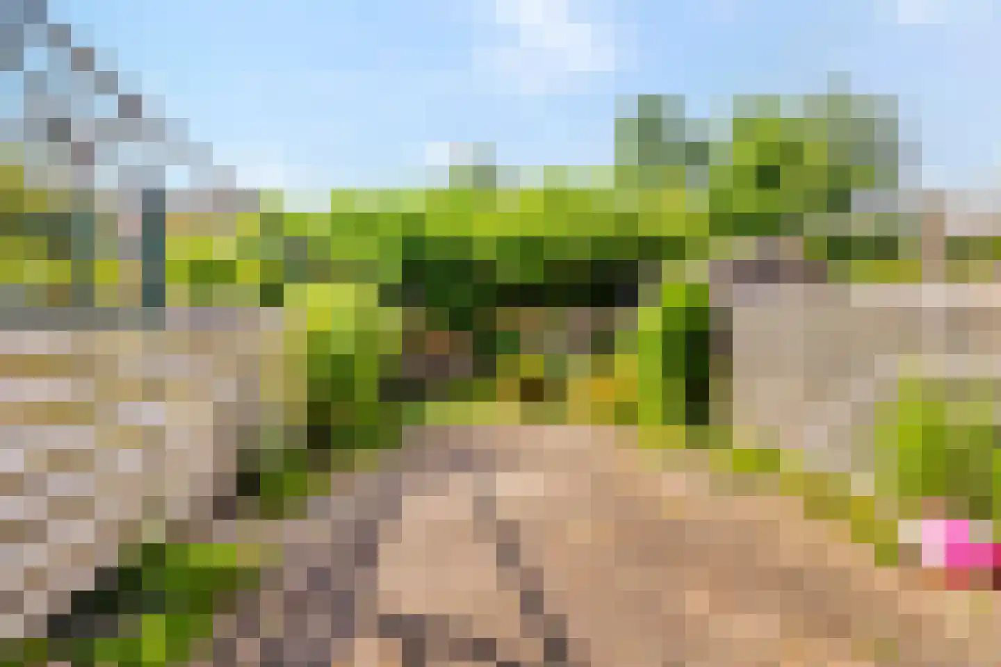Middelzand 3324 Julianadorp thumbnail 19