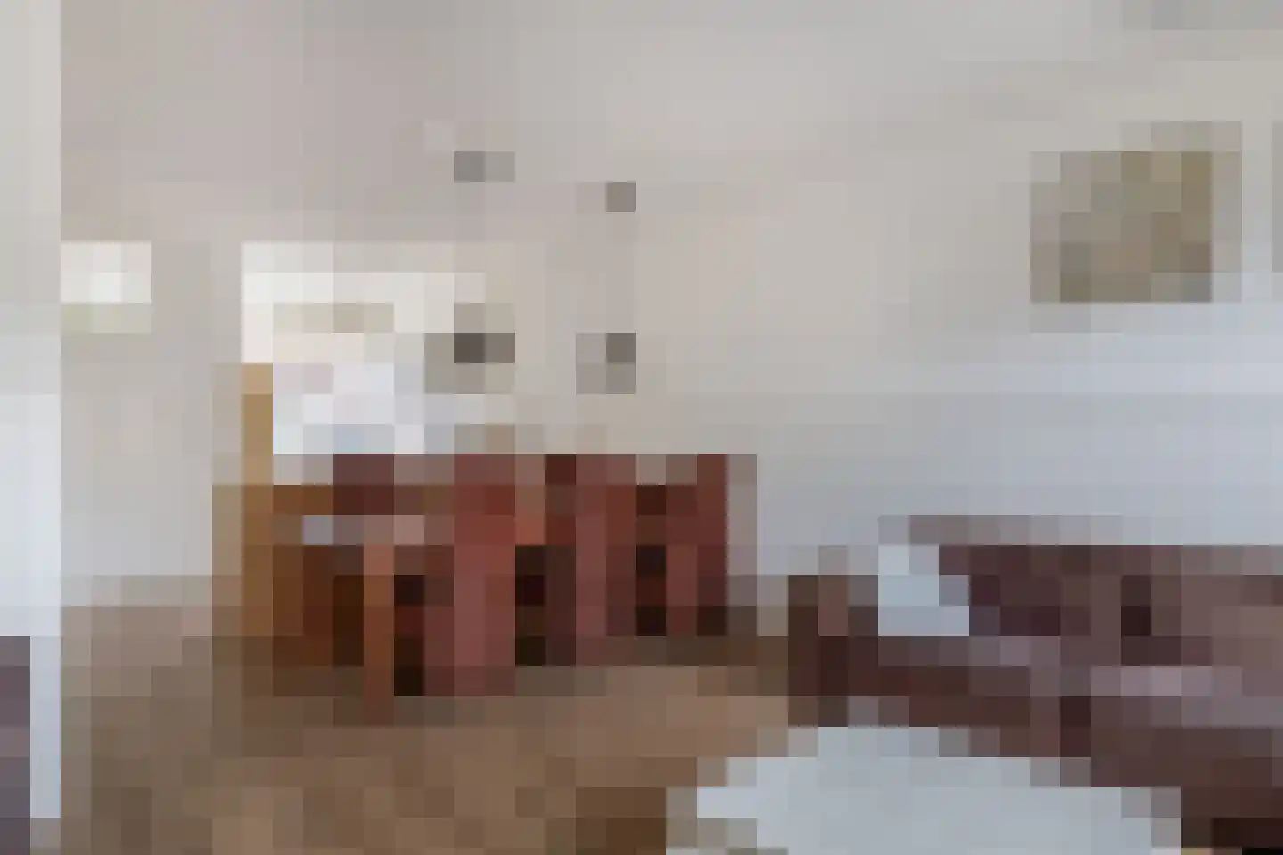Middelzand 3354 Julianadorp thumbnail 7