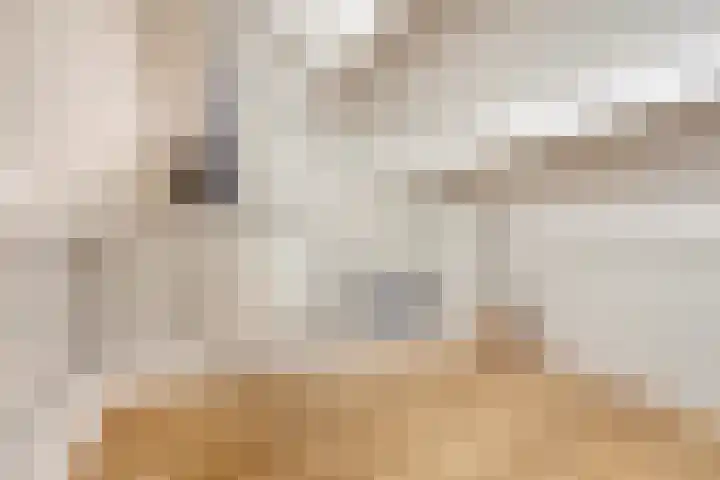 Middelzand 3435 Julianadorp thumbnail 23