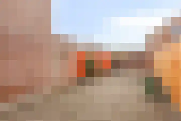 Middelzand 3435 Julianadorp thumbnail 4