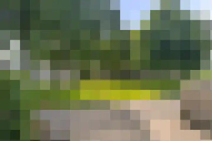 Middelzand 3447 Julianadorp thumbnail 21
