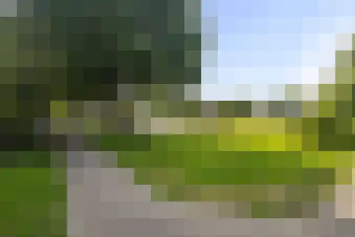 Middelzand 3447 Julianadorp thumbnail 22