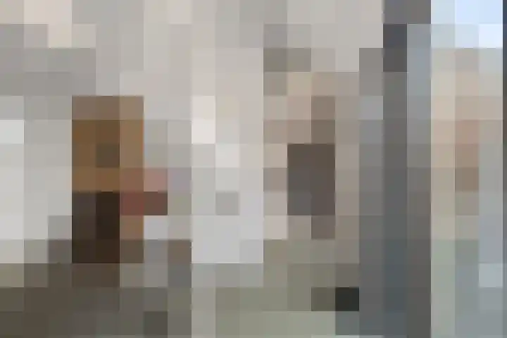 Middelzand 3447 Julianadorp thumbnail 8