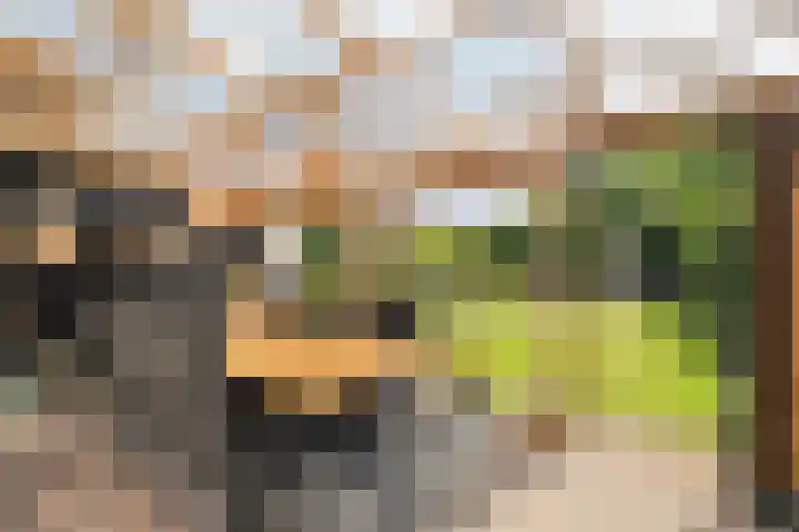 Middelzand 4318 Julianadorp thumbnail 10