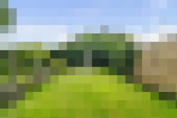 Middelzand 4318 Julianadorp thumbnail 11