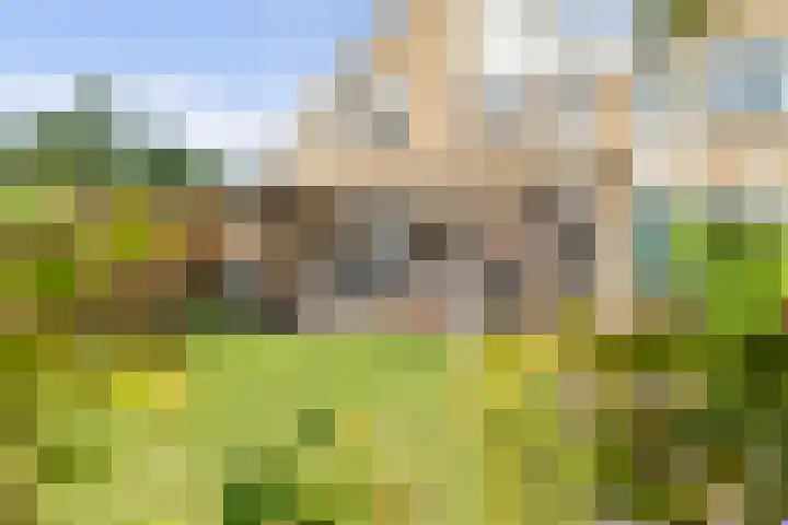 Middelzand 4318 Julianadorp thumbnail 12