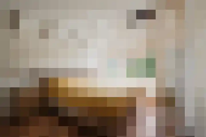 Middelzand 4318 Julianadorp thumbnail 14