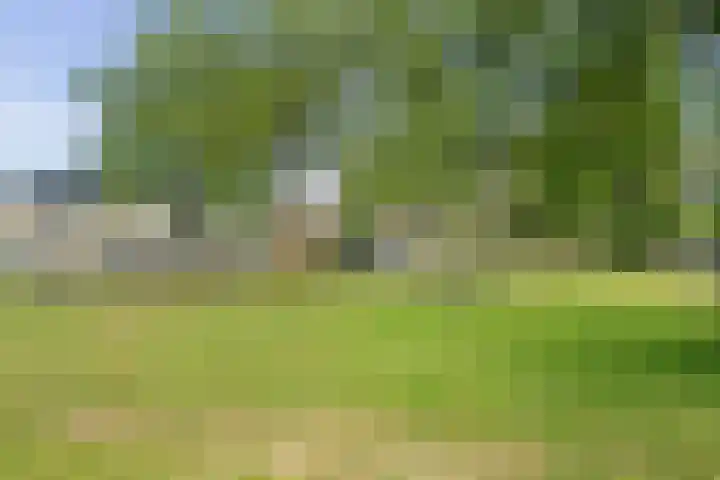 Middelzand 4318 Julianadorp thumbnail 25