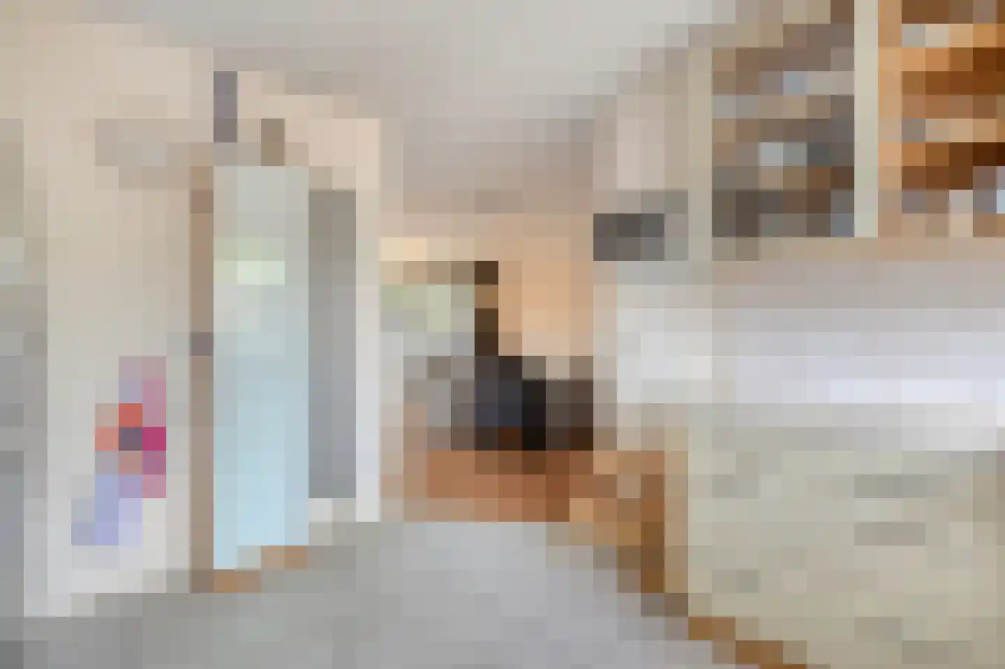 Middelzand 4320 Julianadorp thumbnail 13