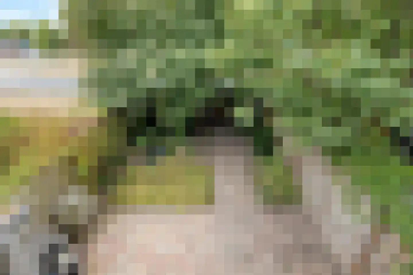 Middelzand 4320 Julianadorp thumbnail 28