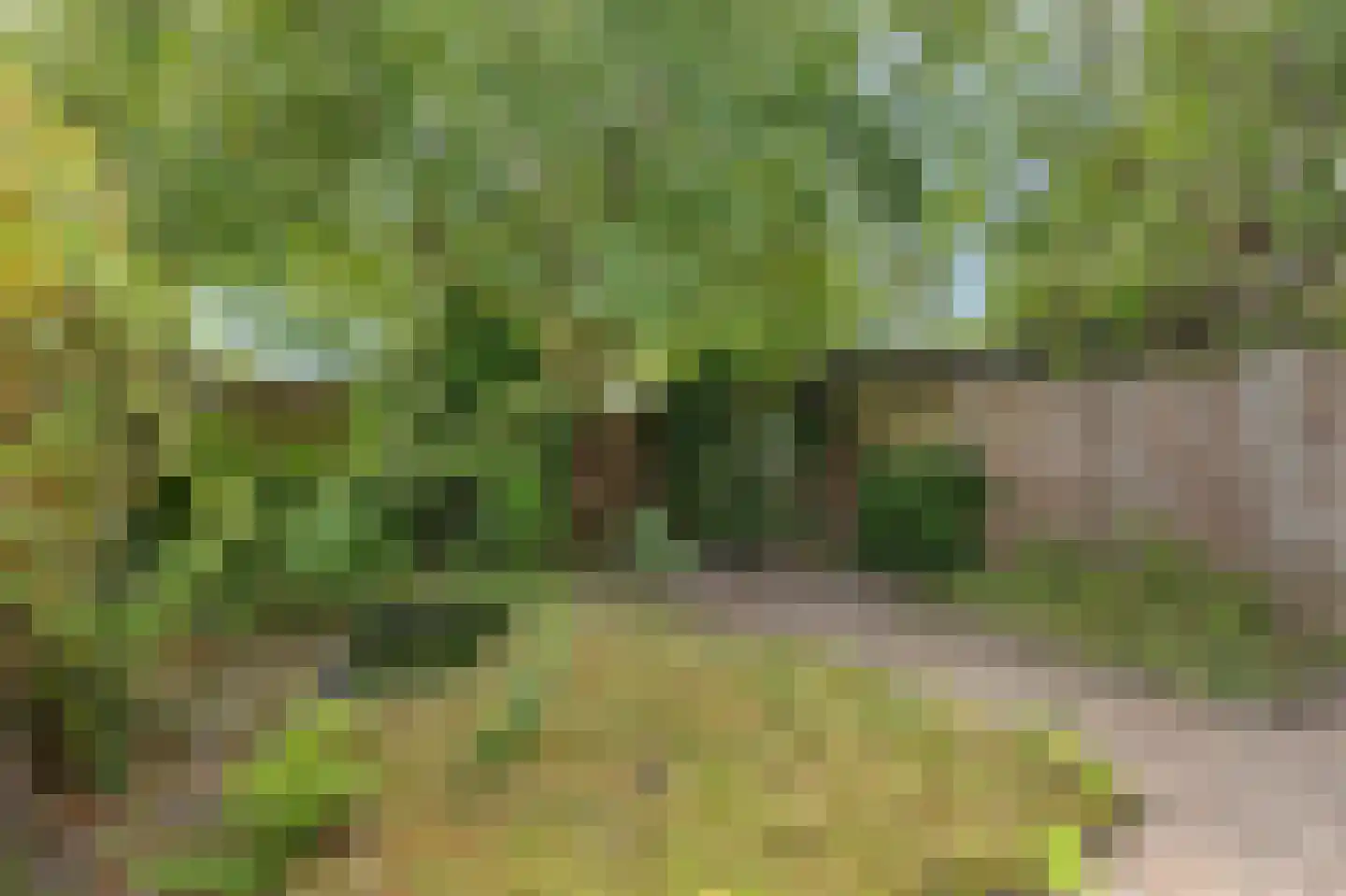 Middelzand 4320 Julianadorp thumbnail 36