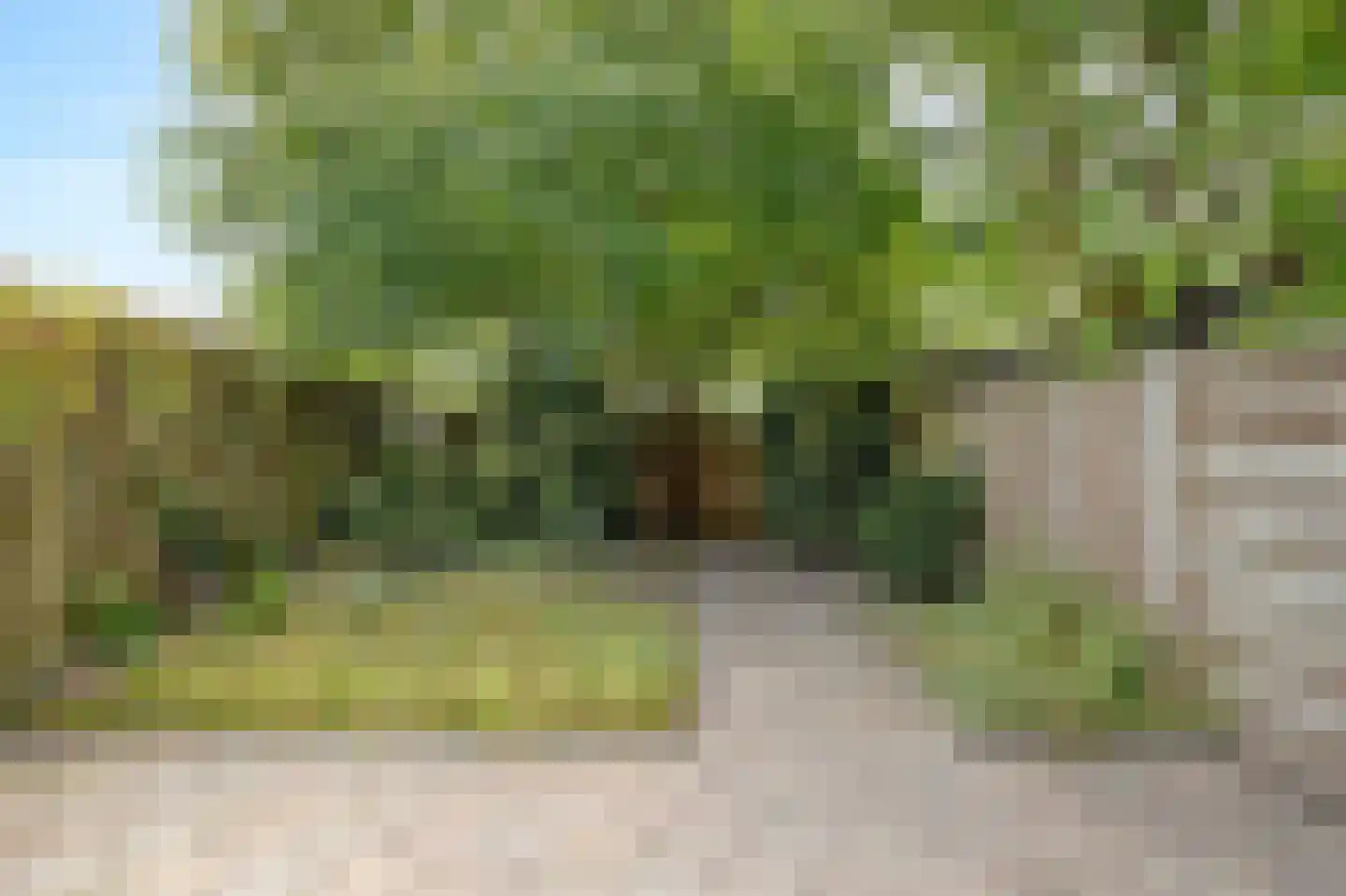 Middelzand 4320 Julianadorp thumbnail 4