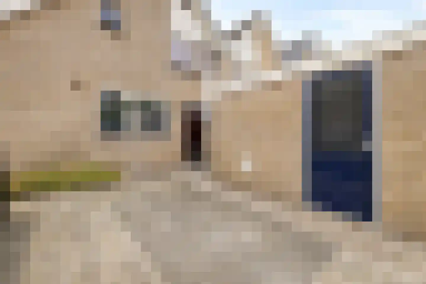Middelzand 4320 Julianadorp thumbnail 5