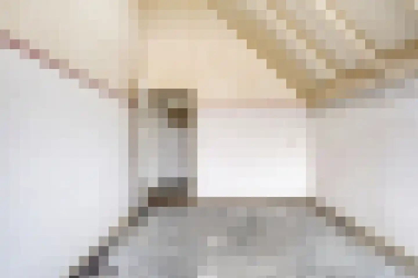 Middelzand 4423 Julianadorp thumbnail 14