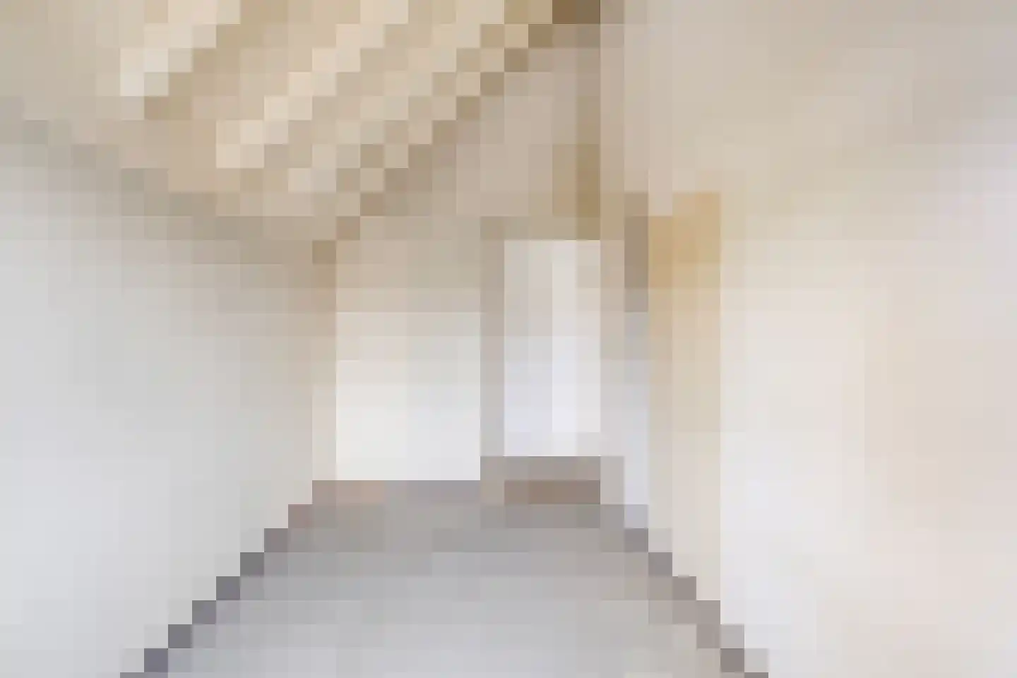 Middelzand 4423 Julianadorp thumbnail 16