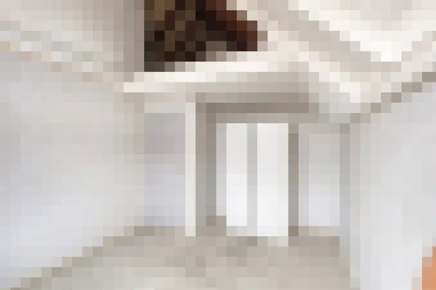 Middelzand 4423 Julianadorp thumbnail 18
