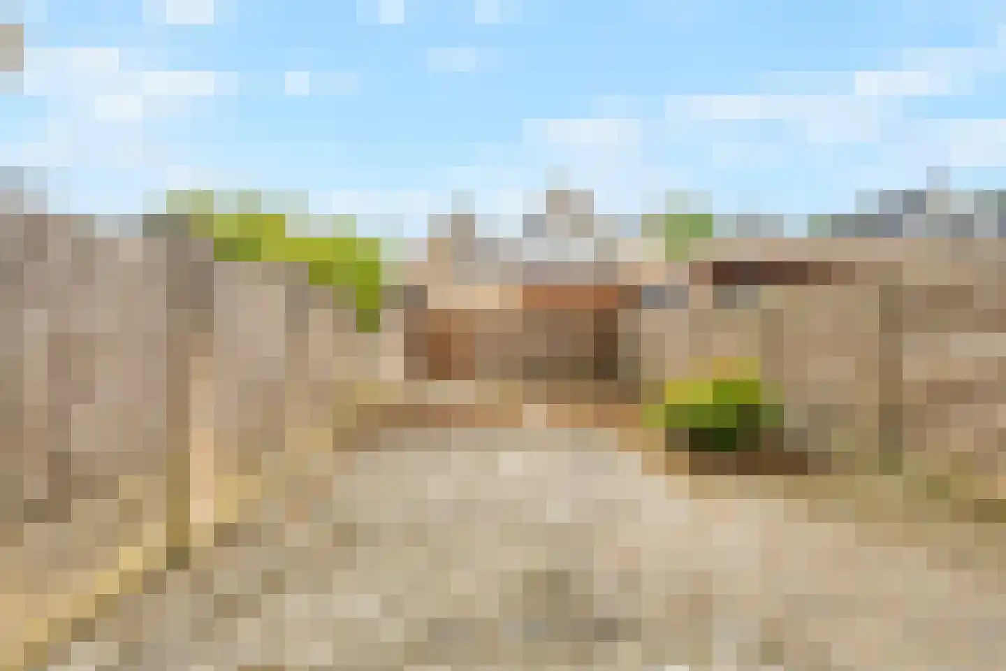 Middelzand 4423 Julianadorp thumbnail 23