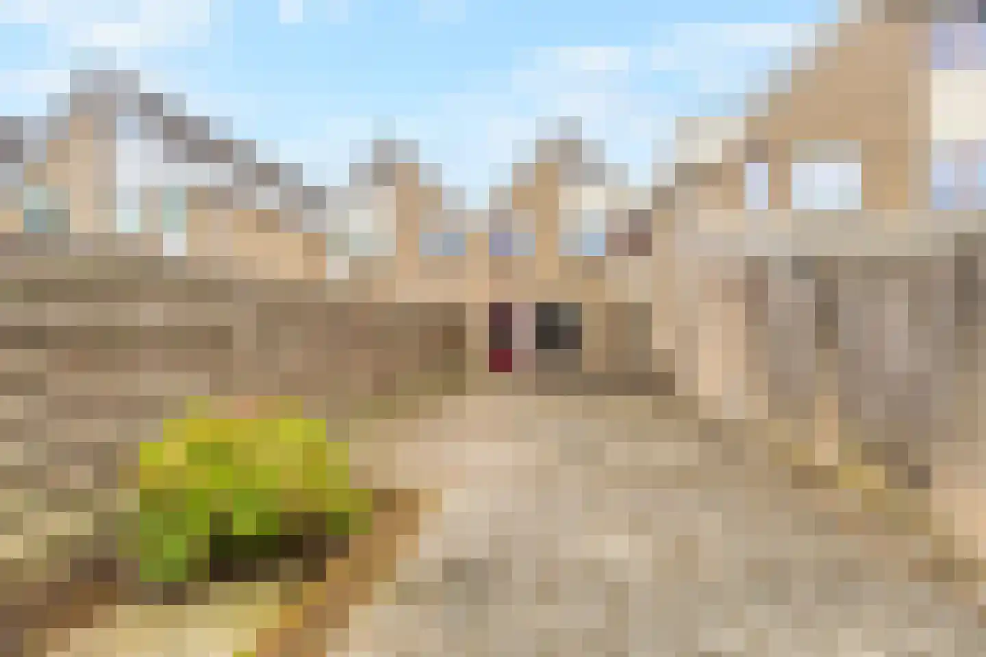 Middelzand 4423 Julianadorp thumbnail 24