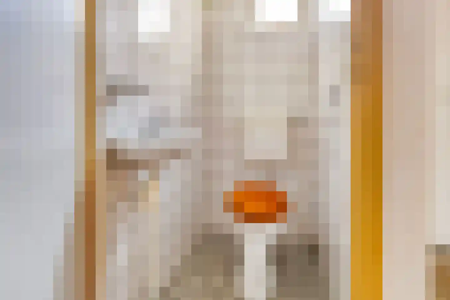 Middelzand 4423 Julianadorp thumbnail 6