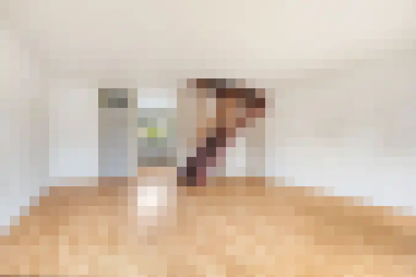 Middelzand 4423 Julianadorp thumbnail 8
