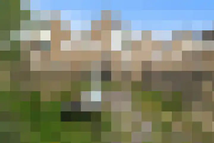 Middelzand 4425 Julianadorp thumbnail 17