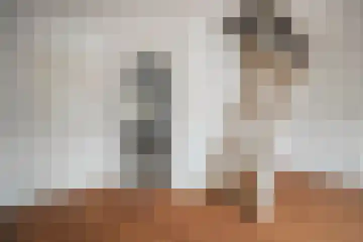 Middelzand 4425 Julianadorp thumbnail 7