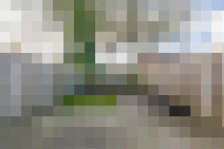 Middelzand 5205 Julianadorp thumbnail 11