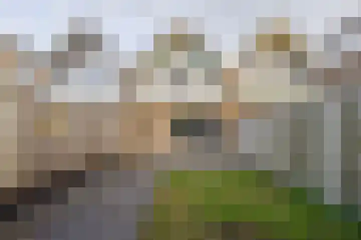 Middelzand 5205 Julianadorp thumbnail 12