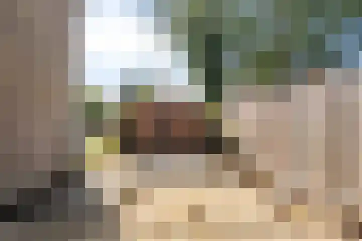 Middelzand 5206 Julianadorp thumbnail 11