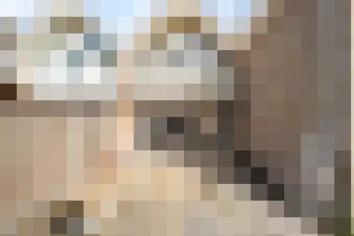 Middelzand 5206 Julianadorp thumbnail 12