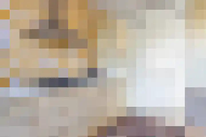 Middelzand 5702 Julianadorp thumbnail 14