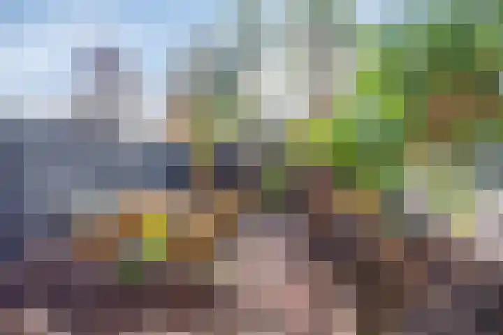 Middelzand 5702 Julianadorp thumbnail 28