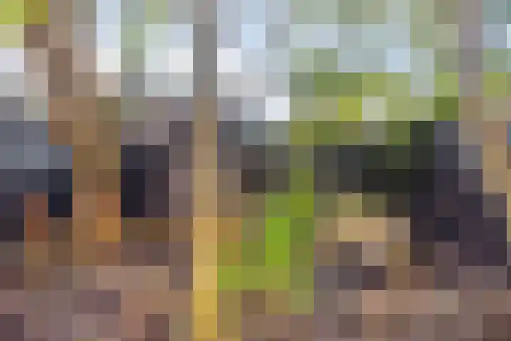 Middelzand 5702 Julianadorp thumbnail 29