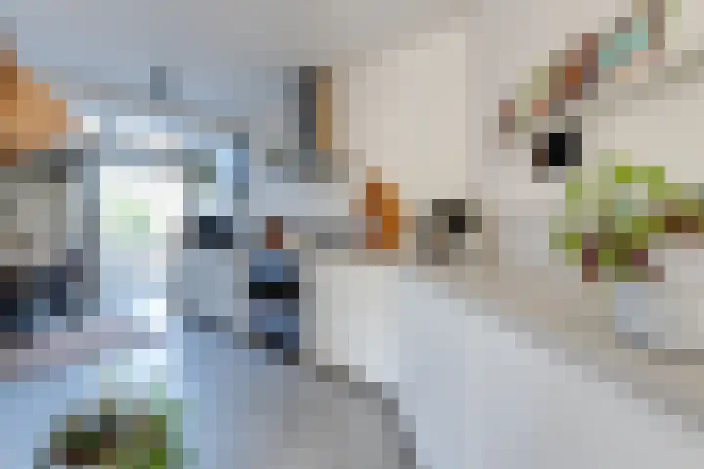 Middelzand 5706 Julianadorp thumbnail 15