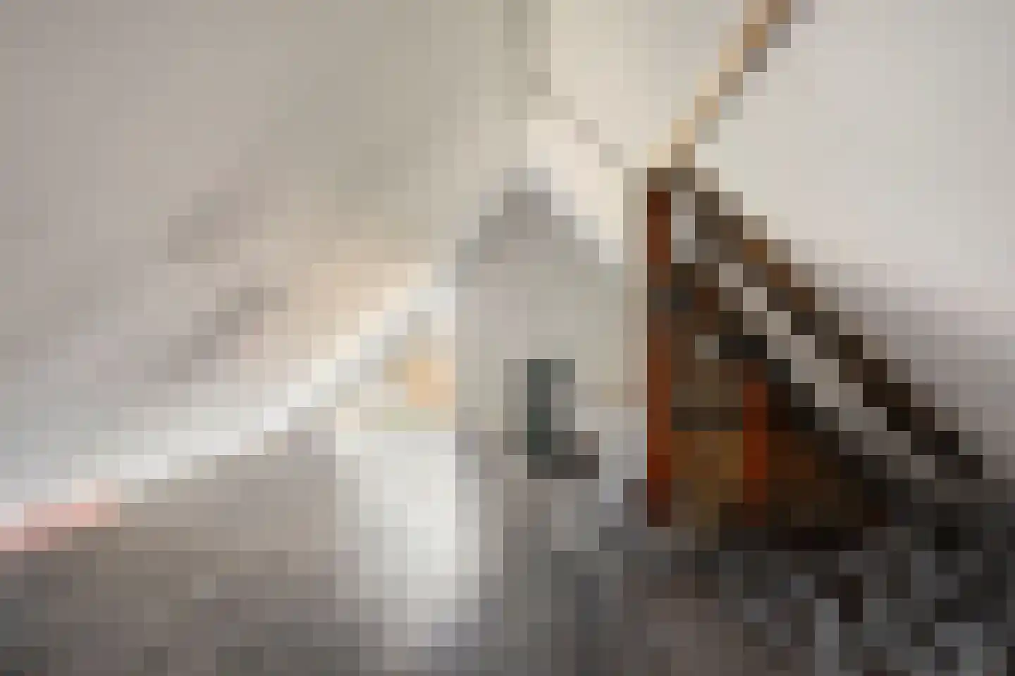 Middelzand 5922 Julianadorp thumbnail 33
