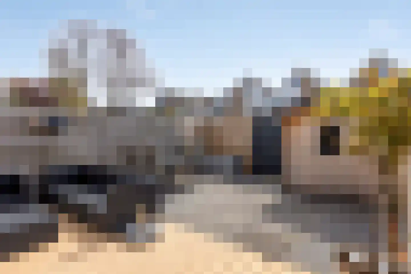 Middelzand 5922 Julianadorp thumbnail 4