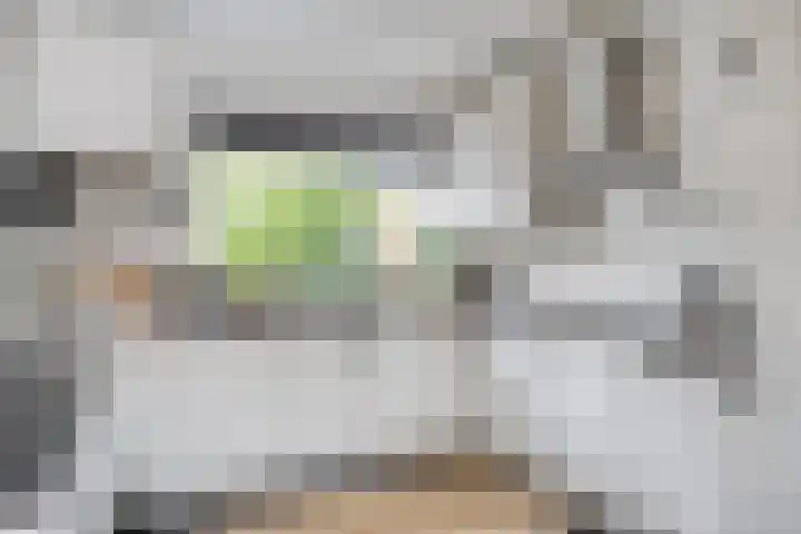 Middelzand 5930 Julianadorp thumbnail 10