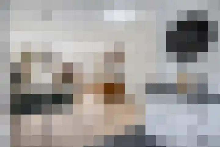 Middelzand 5930 Julianadorp thumbnail 11