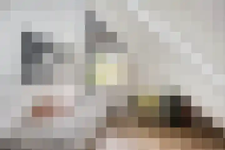 Middelzand 5930 Julianadorp thumbnail 18